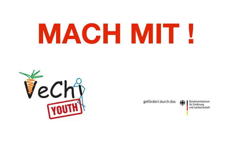 VeChi Youth Studie Aufruf