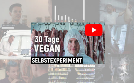 tomatolix youtube vegan selbstexperiment rezension kritik