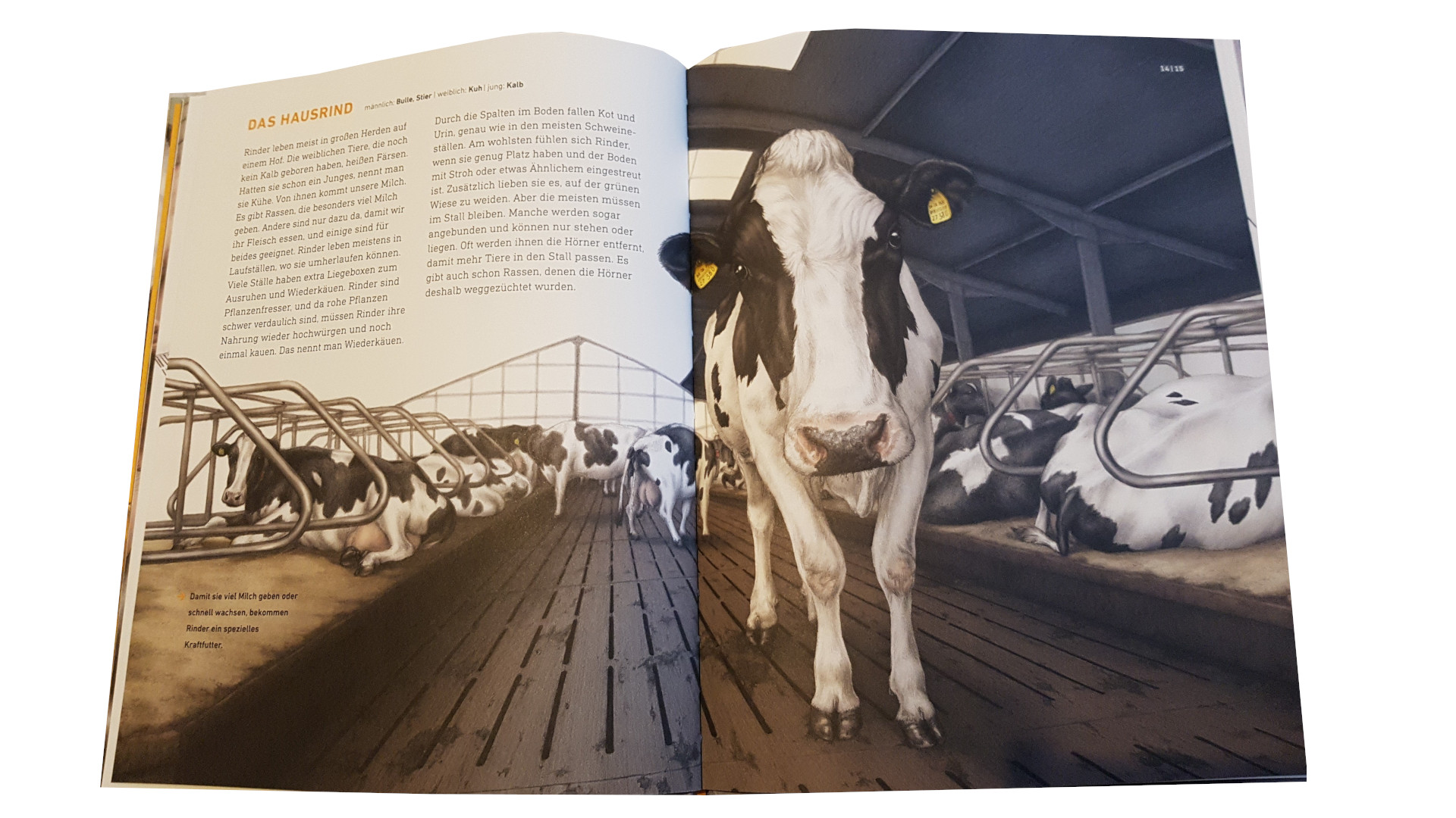 Das Wahre Leben Der Bauernhoftiere Buch 1