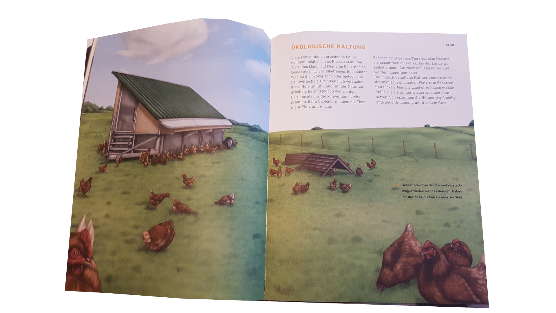 Das Wahre Leben Der Bauernhoftiere Buch 2