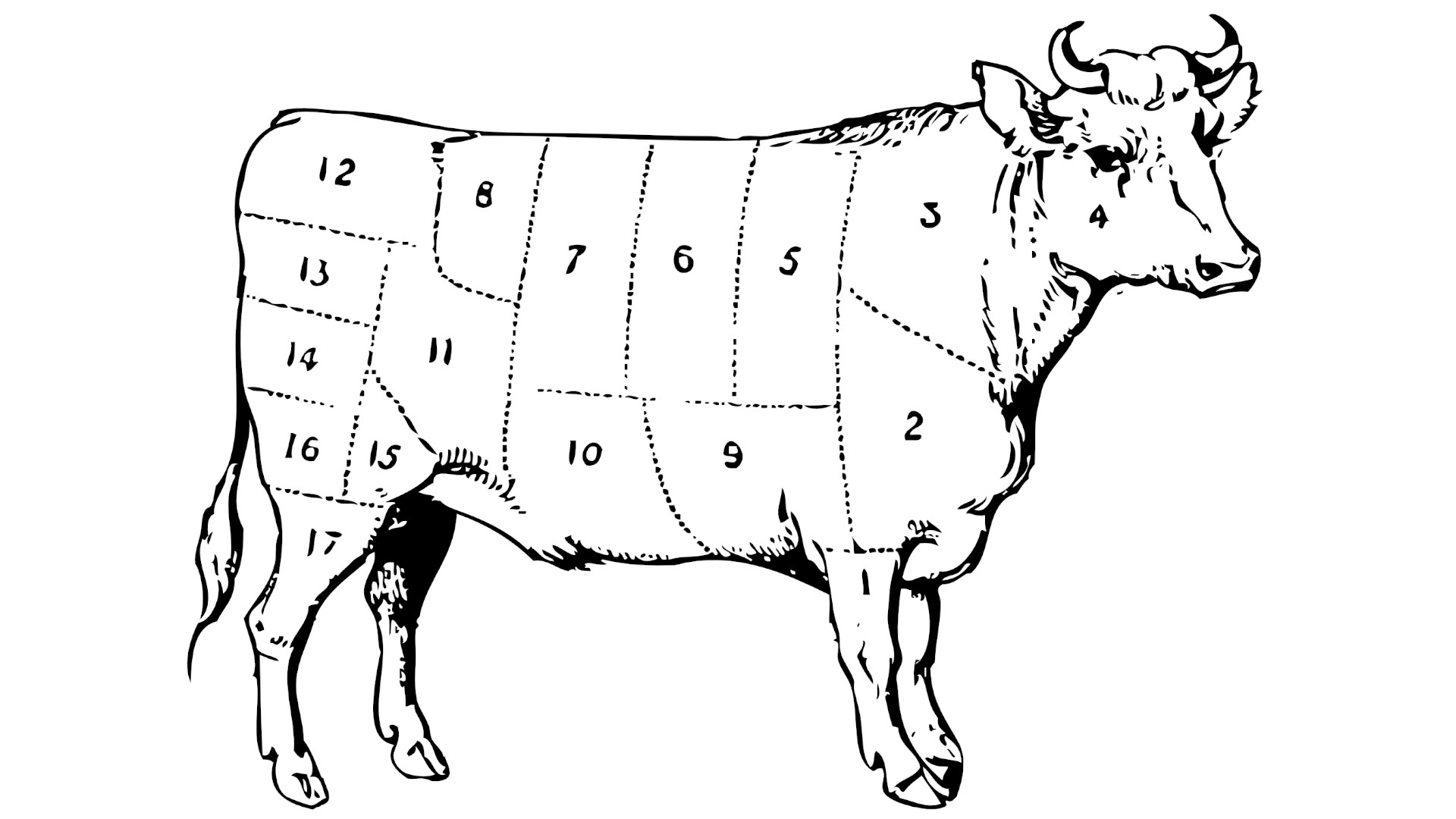 Kuh unterteilt in essbare Teile