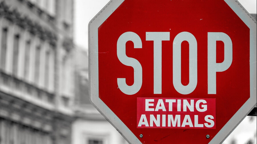 Stop Eating Animals Straßenschild Aktivismus Vegan